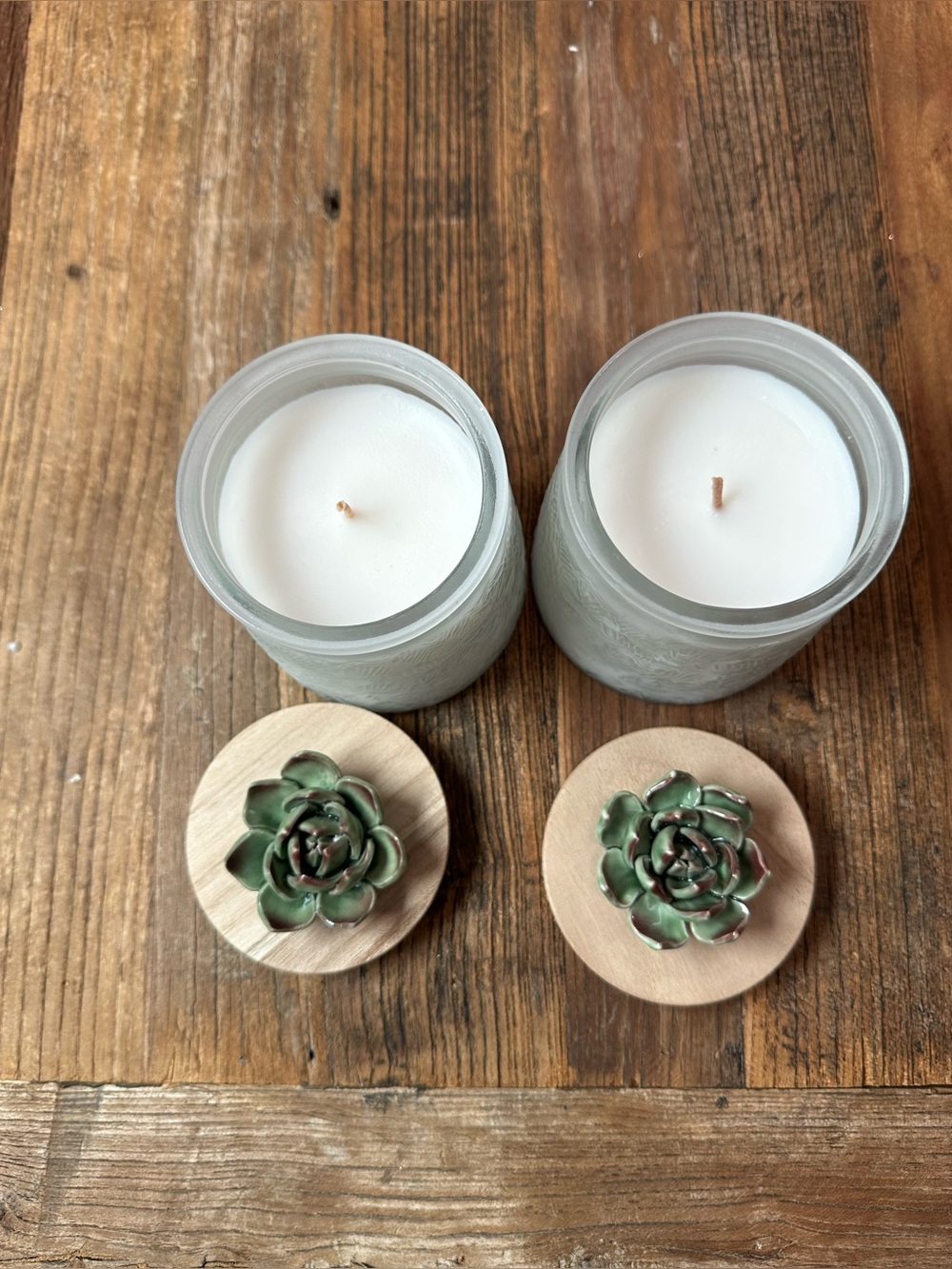 Handcrafted Green Succulent Jar Candles with Wooden Lids